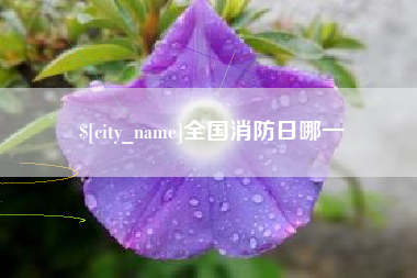 溧阳全国消防日哪一