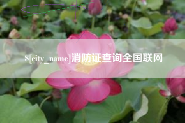 溧阳消防证查询全国联网