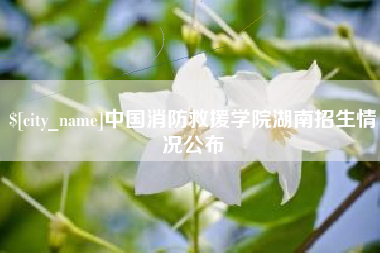 溧阳中国消防救援学院湖南招生情况公布