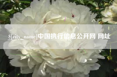 溧阳中国执行信息公开网 网址