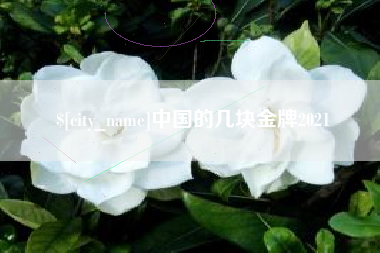 溧阳中国的几块金牌2021