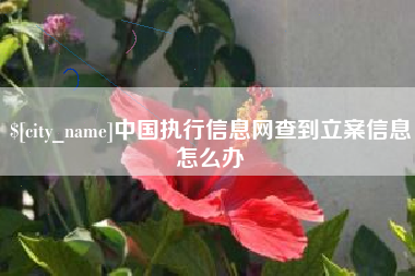 溧阳中国执行信息网查到立案信息怎么办