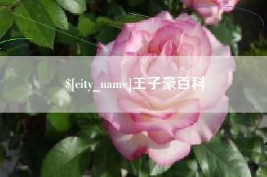 溧阳王子豪百科
