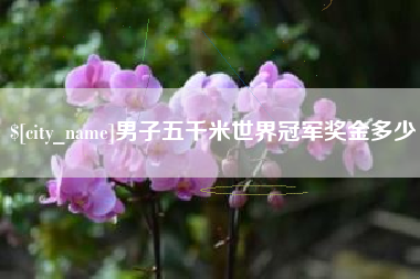 溧阳男子五千米世界冠军奖金多少