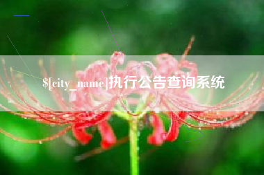 溧阳执行公告查询系统