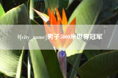 溧阳男子5000米世界冠军