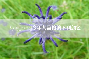 溧阳今年九宫格的不利颜色