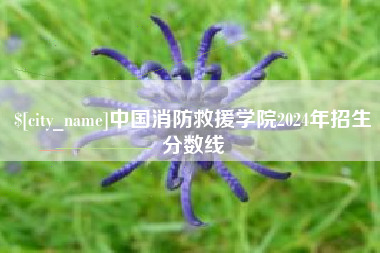 溧阳中国消防救援学院2024年招生分数线