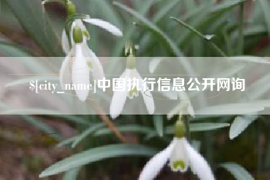 溧阳中国执行信息公开网询