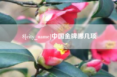 溧阳中国金牌哪几项