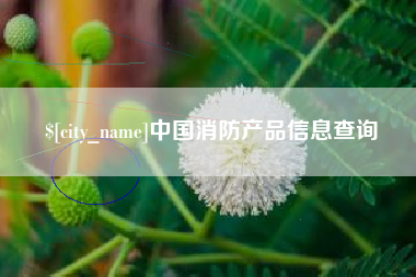 溧阳中国消防产品信息查询