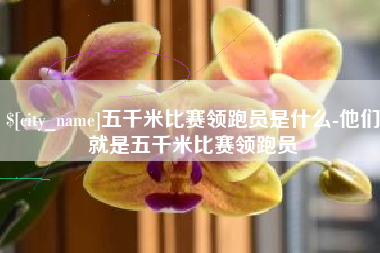 溧阳五千米比赛领跑员是什么-他们就是五千米比赛领跑员