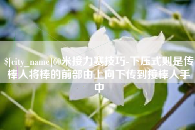 溧阳60米接力赛技巧-下压式则是传棒人将棒的前部由上向下传到接棒人手中