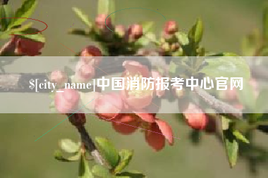 溧阳中国消防报考中心官网