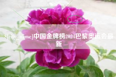 溧阳中国金牌榜2024巴黎奥运会最新