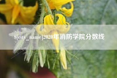溧阳2020年消防学院分数线