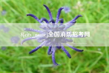 溧阳全国消防招考网