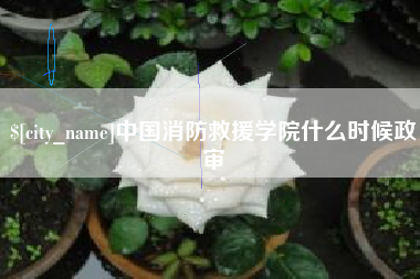 溧阳中国消防救援学院什么时候政审