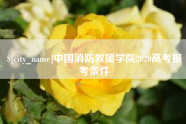 溧阳中国消防救援学院2020高考报考条件