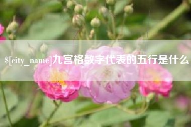 溧阳九宫格数字代表的五行是什么