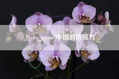 溧阳中国消防官方