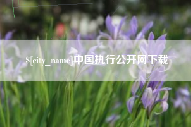 溧阳中国执行公开网下载