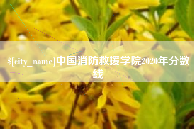 溧阳中国消防救援学院2020年分数线