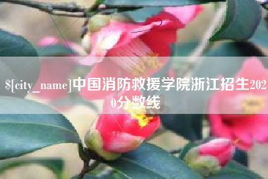 溧阳中国消防救援学院浙江招生2020分数线