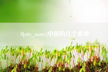 溧阳中国的几个金牌
