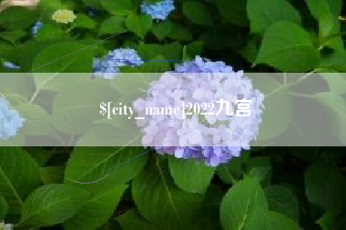 溧阳2022九宫
